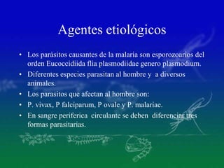 Agentes etiológicos
• Los parásitos causantes de la malaria son esporozoarios del
orden Eucoccidiida flia plasmodiidae genero plasmodium.
• Diferentes especies parasitan al hombre y a diversos
animales.
• Los parasitos que afectan al hombre son:
• P. vivax, P falciparum, P ovale y P. malariae.
• En sangre periferica circulante se deben diferenciar tres
formas parasitarias.
 