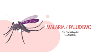 MALARIA/P
ALUDISMO
Dra.FloresAbogabir
CESAMOCBG
 