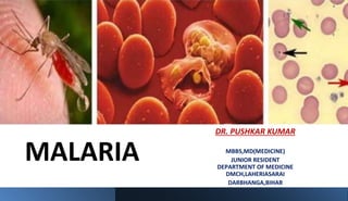 MALARIA
DR. PUSHKAR KUMAR
MBBS,MD(MEDICINE)
JUNIOR RESIDENT
DEPARTMENT OF MEDICINE
DMCH,LAHERIASARAI
DARBHANGA,BIHAR
 