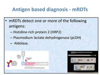 Antigen based diagnosis - mRDTs
• mRDTs detect one or more of the following
antigens:
– Histidine-rich protein 2 (HRP2)
– Plasmodium lactate dehydrogenase (pLDH)
– Aldolase.
 