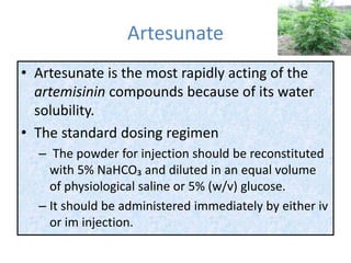 Artesunate
• Artesunate is the most rapidly acting of the
artemisinin compounds because of its water
solubility.
• The standard dosing regimen
– The powder for injection should be reconstituted
with 5% NaHCO₃ and diluted in an equal volume
of physiological saline or 5% (w/v) glucose.
– It should be administered immediately by either iv
or im injection.
 