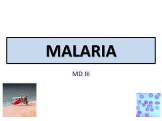 MALARIA
MD III
 