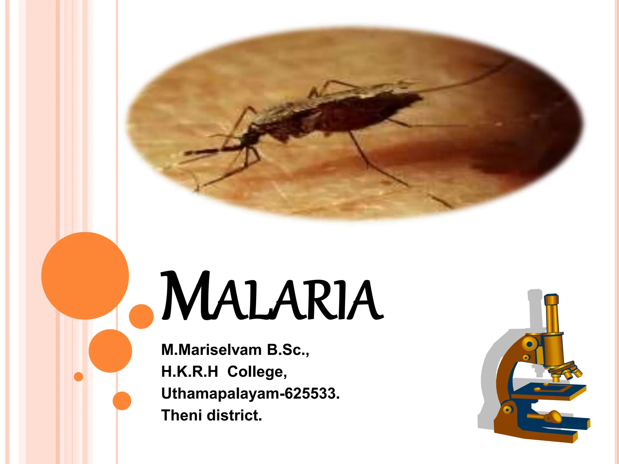 Revolutionizing Malaria Control: Understanding The Exit Portal - nruwi2c