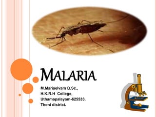 MALARIA
M.Mariselvam B.Sc.,
H.K.R.H College,
Uthamapalayam-625533.
Theni district.
 