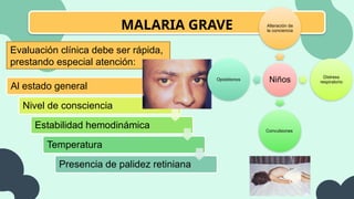 MALARIA GRAVE
Evaluación clínica debe ser rápida,
prestando especial atención:
Al estado general
Nivel de consciencia
Estabilidad hemodinámica
Temperatura
Presencia de palidez retiniana
Niños
Alteración de
la conciencia
Distress
respiratorio
Convulsiones
Opistótonos
 