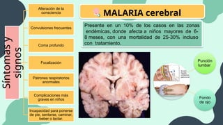 MALARIA cerebral
Presente en un 10% de los casos en las zonas
endémicas, donde afecta a niños mayores de 6-
8 meses, con una mortalidad de 25-30% incluso
con tratamiento.
Síntomas
y
signos
Alteración de la
consciencia
Convulsiones frecuentes
Coma profundo
Focalización
Patrones respiratorios
anormales
Complicaciones más
graves en niños
Incapacidad para ponerse
de pie, sentarse, caminar,
beber o lactar.
Punción
lumbar
Fondo
de ojo
 