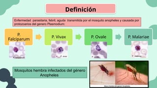 Definición
Enfermedad parasitaria, febril, aguda transmitida por el mosquito anopheles y causada por
protozoarios del genero Plasmodium:
P.
Falciparum
P. Vivax P. Ovale P. Malariae
Mosquitos hembra infectados del género
Anopheles
 