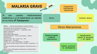 MALARIA GRAVE
Otras Alteraciones
Coagulación
intravascular
diseminada
Acidosis láctica
Hipoglucemia
(grave si glucemia
< 40 mg/dl)
Edema pulmonar
no cardiogénico
Esplenomegalia
malárica
hiperreactiva
Shock
Si son usados medicamentos
inefectivos o si el tratamiento se retarda
en su inicio (P. Falciparum)
 