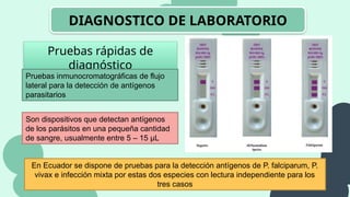 DIAGNOSTICO DE LABORATORIO
Pruebas rápidas de
diagnóstico
En Ecuador se dispone de pruebas para la detección antígenos de P. falciparum, P.
vivax e infección mixta por estas dos especies con lectura independiente para los
tres casos
Son dispositivos que detectan antígenos
de los parásitos en una pequeña cantidad
de sangre, usualmente entre 5 – 15 µL
Pruebas inmunocromatográficas de flujo
lateral para la detección de antígenos
parasitarios
 