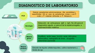 DIAGNOSTICO DE LABORATORIO
PCR
Serología
Malaria
grave
Malaria
cerebral
Equilibrio acido base, función renal, bilirrubina.
hemocultivo, radiografía de tórax , ecografía
abdominal (opcional)
Detecta parasitemias submicroscópicas. Alta sensibilidad y
especificidad. Útil en caso de parasitemias mixtas o por P.
ovale y P. malariae atribuidas a P. falciparum.
Detección de anticuerpos IgM o IgG. No útil para el
diagnostico agudo, si para el de la esplenomegalia e
hiperreactividad malárica.
Estudio de liquido cefalorraquídeo, cultivo bacteriano y
fondo de ojo
 