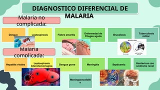 DIAGNOSTICO DIFERENCIAL DE
MALARIA
Malaria no
complicada:
Dengue Leptospirosis Fiebre amarilla
Enfermedad de
Chagas aguda
Brucelosis
Tuberculosis
militar
Malaria
complicada:
Hepatitis virales
Leptospirosis
Icterohemorragica
Dengue grave Meningitis Septicemia
Hantavirus con
síndrome renal
Meningoencefaliti
s
 
