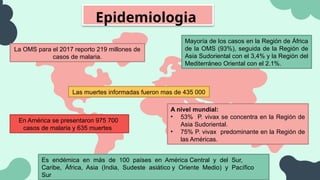 Epidemiologia
La OMS para el 2017 reporto 219 millones de
casos de malaria.
Las muertes informadas fueron mas de 435 000
En América se presentaron 975 700
casos de malaria y 635 muertes
A nivel mundial:
• 53% P. vivax se concentra en la Región de
Asia Sudoriental.
• 75% P. vivax predominante en la Región de
las Américas.
Mayoría de los casos en la Región de África
de la OMS (93%), seguida de la Región de
Asia Sudoriental con el 3,4% y la Región del
Mediterráneo Oriental con el 2.1%.
Es endémica en más de 100 países en América Central y del Sur,
Caribe, África, Asia (India, Sudeste asiático y Oriente Medio) y Pacífico
Sur
 