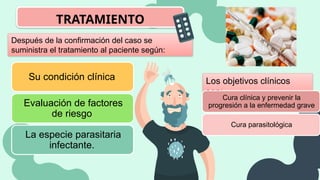 TRATAMIENTO
Después de la confirmación del caso se
suministra el tratamiento al paciente según:
Su condición clínica
Evaluación de factores
de riesgo
La especie parasitaria
infectante.
Los objetivos clínicos
son:
Cura clínica y prevenir la
progresión a la enfermedad grave
Cura parasitológica
 