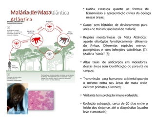 Malária de Mata
Atlântica
• Dados escassos quanto as formas de
transmissão e apresentação clinica da doença
nessas áreas;
• Casos: sem histórico de deslocamento para
áreas de transmissão local de malária;
• Regiões montanhosas da Mata Atlântica:
agente etiológico fenotipicamente diferente
do P.vivax. Diferentes espécies menos
patogênicas e com infecções subclínicas (?).
Malária “símia” (?);
• Altas taxas de anticorpos em moradores
dessas áreas sem identificação do parasita no
sangue;
• Transmissão para humanos: acidental quando
o mesmo entra nas áreas de mata onde
existem primatas e vetores;
• Visitante tem proteção imune reduzida;
• Evolução subaguda, cerca de 20 dias entre o
inicio dos sintomas até o diagnóstico (quadro
leve e arrastado);
 