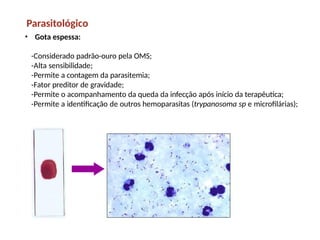 Parasitológico
• Gota espessa:
-Considerado padrão-ouro pela OMS;
-Alta sensibilidade;
-Permite a contagem da parasitemia;
-Fator preditor de gravidade;
-Permite o acompanhamento da queda da infecção após início da terapêutica;
-Permite a identificação de outros hemoparasitas (trypanosoma sp e microfilárias);
 