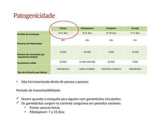 Patogenicidade
P.vivax P.falciparum P.malarie P.ovale
Periodo de Incubação 8-27 dias 8-25 dias 15-30 dias 9-17 dias
Presença de Hipnozoítas
sim não não sim
Número de merozoítas por
esquizonte tecidual
10.000 40.000 2.000 15.000
Parasitemia média 50.000 50.000-500.000 20.000 9.000
Tipo de eritrócito que infecta
reticulócitos todas as idades eritrócitos maduros reticulócitos
• Não há transmissão direta de pessoa a pessoa;
Período de transmissibilidade:
 Ocorre quando o mosquito pica alguém com gametócitos circulantes;
 Os gametócitos surgem na corrente sanguínea em períodos variáveis:
• P.vivax: poucas horas;
• P.falciparum: 7 a 12 dias;
 
