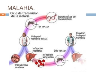 MALARIA.
15
 