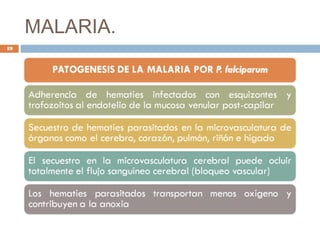 MALARIA.
19
 