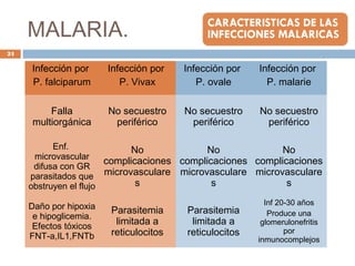 MALARIA.
Infección por
P. falciparum
Infección por
P. Vivax
Infección por
P. ovale
Infección por
P. malarie
Falla
multiorgánica
No secuestro
periférico
No secuestro
periférico
No secuestro
periférico
Enf.
microvascular
difusa con GR
parasitados que
obstruyen el flujo
No
complicaciones
microvasculare
s
No
complicaciones
microvasculare
s
No
complicaciones
microvasculare
s
Daño por hipoxia
e hipoglicemia.
Efectos tóxicos
FNT-a,IL1,FNTb
Parasitemia
limitada a
reticulocitos
Parasitemia
limitada a
reticulocitos
Inf 20-30 años
Produce una
glomerulonefritis
por
inmunocomplejos
24
 