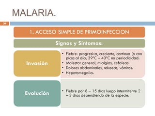 MALARIA.
26
 