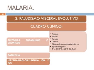 MALARIA.
31
 