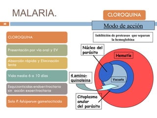 MALARIA.
Modo de acción
4 amino-
quinoleína
Hematíe
Núcleo del
parásito
Citoplasma
anular
del parásito
Inhibición de proteasas que separan
la hemoglobina
Vacuola
48
 