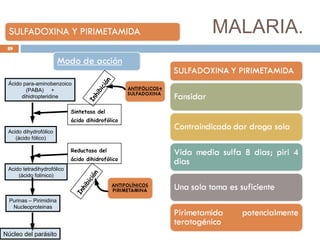 MALARIA.
Ácido para-aminobenzoico
(PABA) +
dihidropteridine
Acido dihydrofólico
(ácido fólico)
Acido tetradihydrofólico
(ácido folínico)
Purinas – Pirimidina
Nucleoproteinas
Núcleo del parásito
Sintetasa del
ácido dihidrofólico
Reductasa del
ácido dihidrofólico
Inhibición
Inhibición
49
 