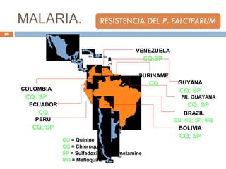 MALARIA.
BRAZIL
QU; CQ; SP; MQ
BOLIVIA
CQ; SP
FR. GUAYANA
CQ; SP
GUYANA
CQ; SP
ECUADOR
CQ
PERU
CQ; SP
COLOMBIA
CQ; SP
VENEZUELA
CQ,SP
SURINAME
CQ
QU = Quinine
CQ = Chloroquine
SP = Sulfadoxine + Pyrimetamine
MQ = Mefloquine
60
 