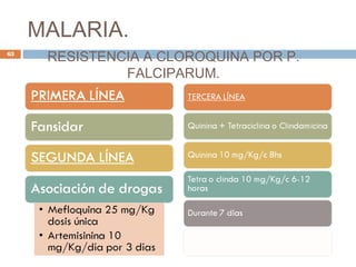 MALARIA.
RESISTENCIA A CLOROQUINA POR P.
FALCIPARUM.
63
 