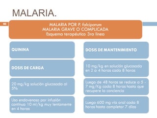 MALARIA.
66
 