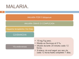 MALARIA.
67
 