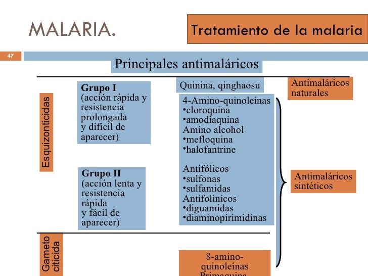 Tratamiento Para La Malaria En Bolivia