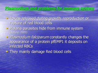 Malaria Cellbiology Presentation