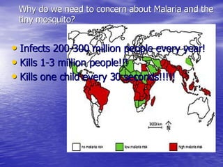 Malaria Cellbiology Presentation