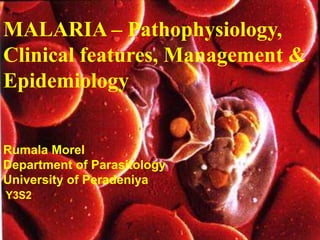 MALARIA – Pathophysiology,
Clinical features, Management &
Epidemiology
Rumala Morel
Department of Parasitology
University of Peradeniya
Y3S2
 