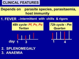 CLINICAL FEATURES
Depends on parasite species, parasitaemia,
host immunity
1. FEVER -intermittent with chills & rigors
48h cycle- Pf, Pv, Po
Tertian
72h cycle - Pm
Quartan
1 3day 1 4
2. SPLENOMEGALY
3. ANAEMIA
 