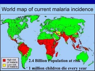 World map of current malaria incidence
2.4 Billion Population at risk
1 million children die every year
 