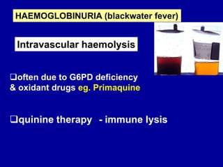 HAEMOGLOBINURIA (blackwater fever)
often due to G6PD deficiency
& oxidant drugs eg. Primaquine
quinine therapy - immune lysis
Intravascular haemolysis
 