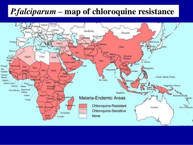 Chloroquine resistenz dissertation
