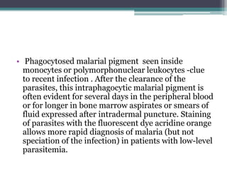• Phagocytosed malarial pigment seen inside
  monocytes or polymorphonuclear leukocytes -clue
  to recent infection . After the clearance of the
  parasites, this intraphagocytic malarial pigment is
  often evident for several days in the peripheral blood
  or for longer in bone marrow aspirates or smears of
  fluid expressed after intradermal puncture. Staining
  of parasites with the fluorescent dye acridine orange
  allows more rapid diagnosis of malaria (but not
  speciation of the infection) in patients with low-level
  parasitemia.
 