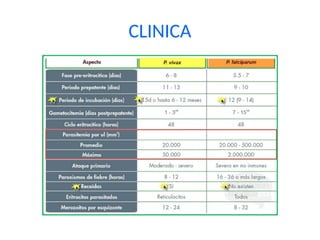 CLINICA
 