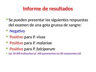 Informe de resultados
Se pueden presentar las siguientes respuestas
del examen de una gota gruesa de sangre:
 Negativo
 Positivo para P. vivax
 Positivo para P. malariae
 Positivo para P. falciparum
 (ej: 20.000 trofozoitos/μl, 200 gametocitos/μl, 80 esquizontes/μl)
 