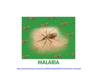 https://www.minsalud.gov.co/sites/rid/Lists/BibliotecaDigital/RIDE/VS/TH/memorias_malaria.pdf
 