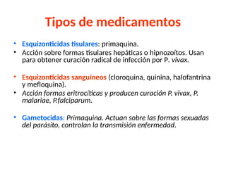 Tipos de medicamentos
• Esquizonticidas tisulares: primaquina.
• Acción sobre formas tisulares hepáticas o hipnozoítos. Usan
para obtener curación radical de infección por P. vivax.
• Esquizonticidas sanguíneos (cloroquina, quinina, halofantrina
y mefloquina).
• Acción formas eritrocíticas y producen curación P. vivax, P.
malariae, P.falciparum.
• Gametocidas: Primaquina. Actuan sobre las formas sexuadas
del parásito, controlan la transmisión enfermedad.
 