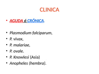 CLINICA
• AGUDA ó CRÓNICA.
• Plasmodium falciparum,
• P. vivax,
• P. malariae,
• P. ovale.
• P. Knowlesi (Asia)
• Anopheles (hembra).
 