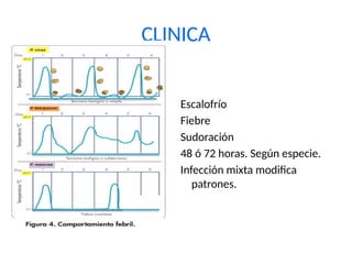CLINICA
Escalofrío
Fiebre
Sudoración
48 ó 72 horas. Según especie.
Infección mixta modifica
patrones.
 