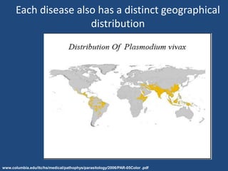 Each disease also has a distinct geographical
                      distribution




www.columbia.edu/itc/hs/medical/pathophys/parasitology/2006/PAR-05Color .pdf
 