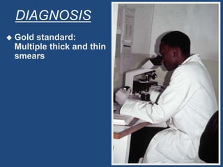 DIAGNOSIS
   Gold standard:
    Multiple thick and thin
    smears
 