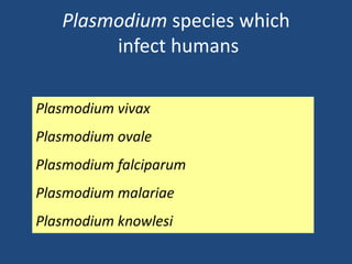 Plasmodium species which
        infect humans

Plasmodium vivax
Plasmodium ovale
Plasmodium falciparum
Plasmodium malariae
Plasmodium knowlesi
 