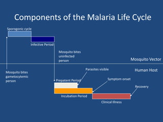 Components of the Malaria Life Cycle
Sporogonic cycle



                 Infective Period

                                     Mosquito bites
                                     uninfected
                                     person                                            Mosquito Vector

                                                       Parasites visible                 Human Host
Mosquito bites
gametocytemic
                                    Prepatent Period                   Symptom onset
person
                                                                                         Recovery

                                       Incubation Period
                                                                  Clinical Illness
 